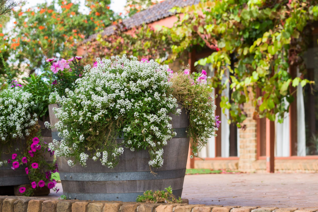 how to style your planter